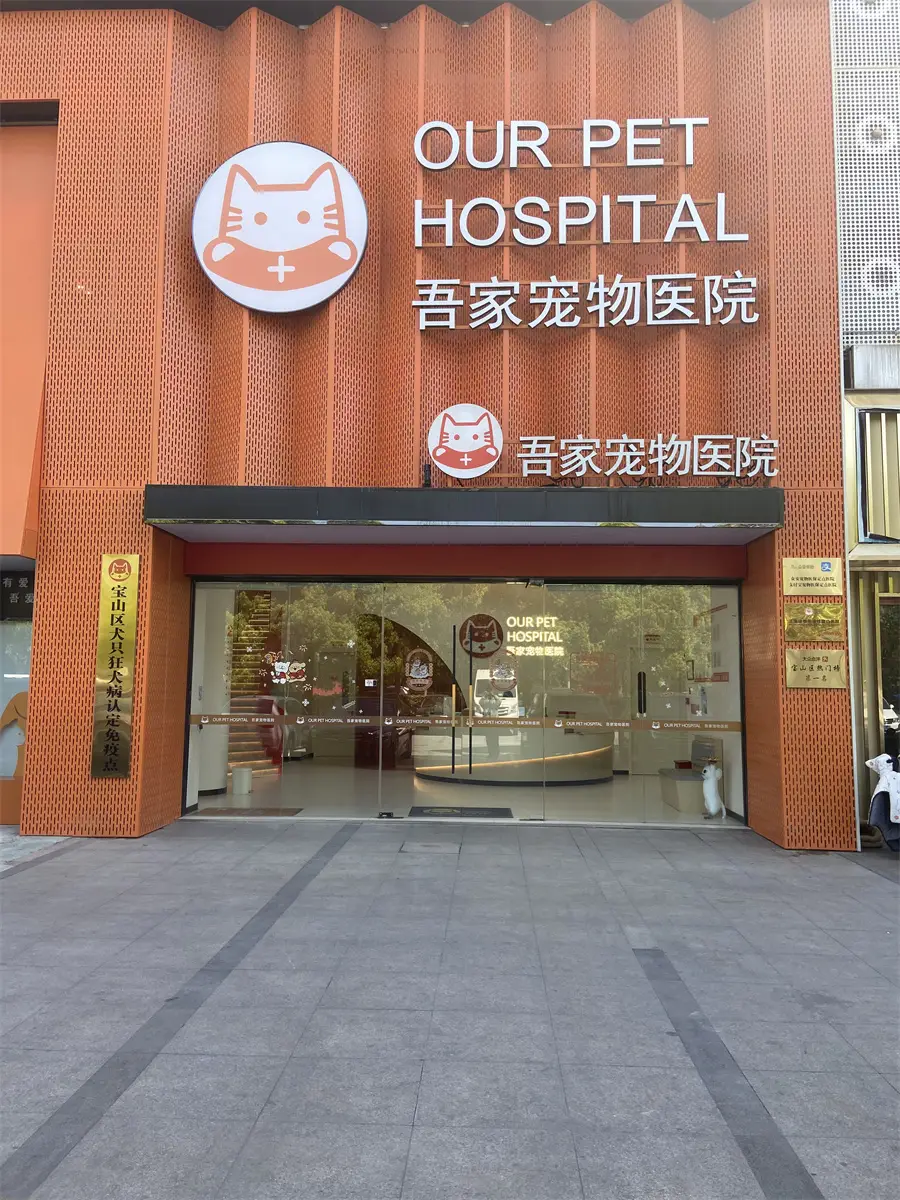 上海靠譜的寵物醫院推薦｜吾家寵物醫院，AAHA 認證更安心