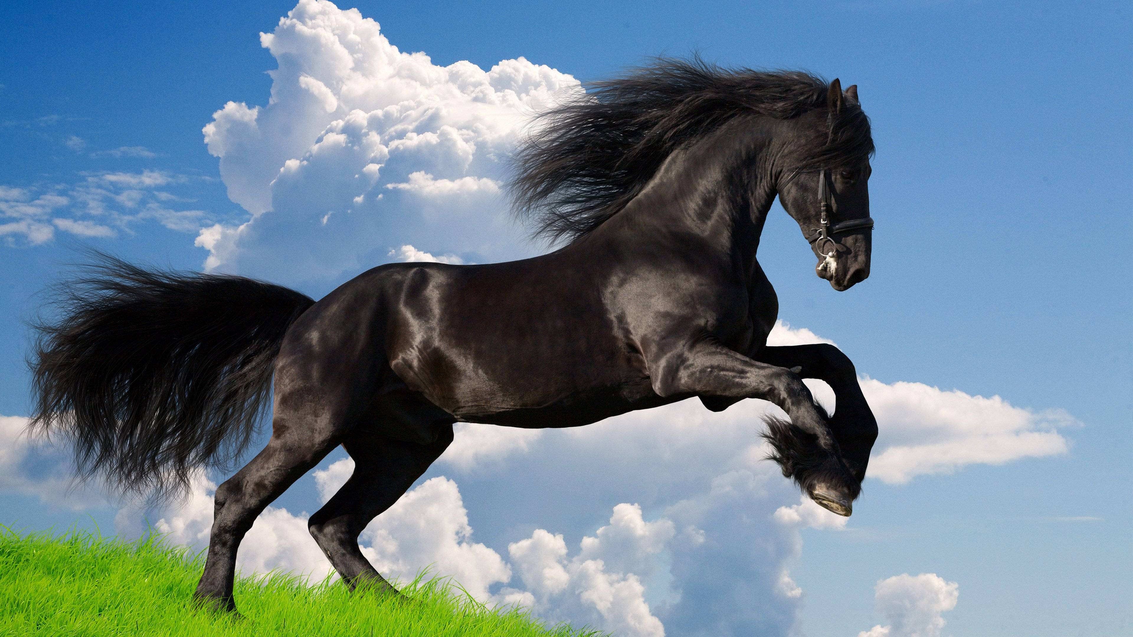 在職研究生上課方式,在職研究生週末上課嗎