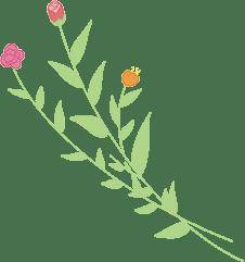 為啥外國女人生孩子不“坐月子”，中國女人要“坐月子”？