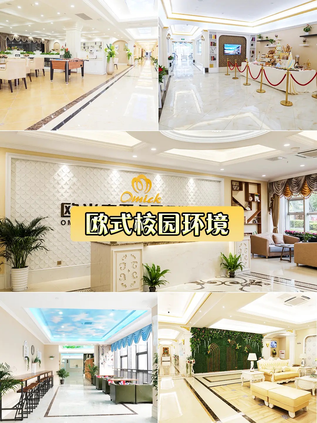 蘇州歐米奇西點西餐學院：課程、交通與服務質量的考量