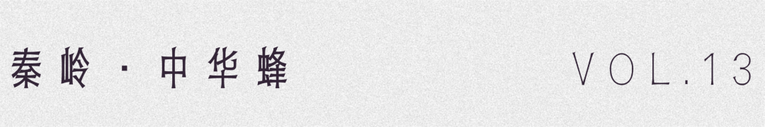 留壩蜂蜜又有新續集了？