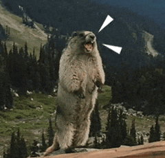 減肥人崩潰瞬間：停了減肥神藥，體重和健康指標一起 “打回原形”？