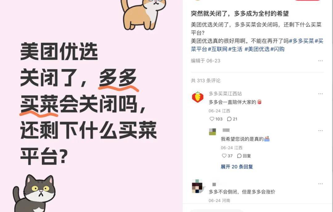 社羣團購，下沉市場“全村的希望”