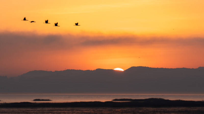 2025影像盤點 | 時光印跡——攝影師 王思傑