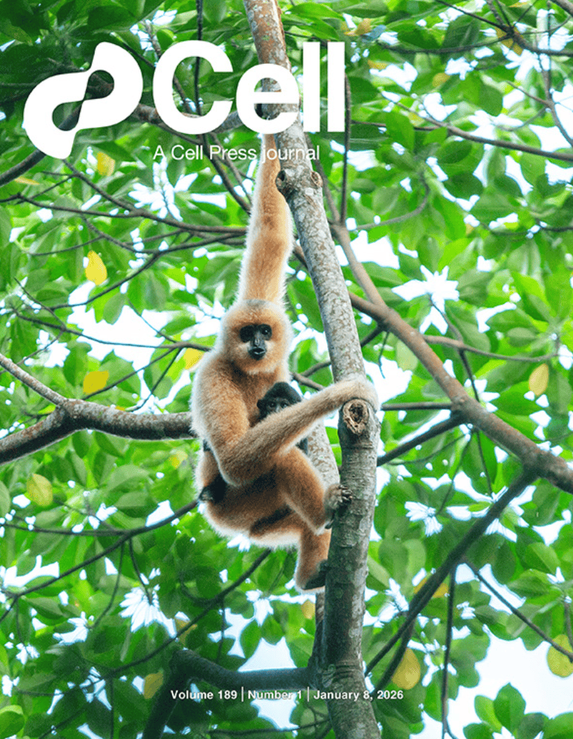 生物學刊物《細胞》最新封面論文，由中國學者聯合發表
