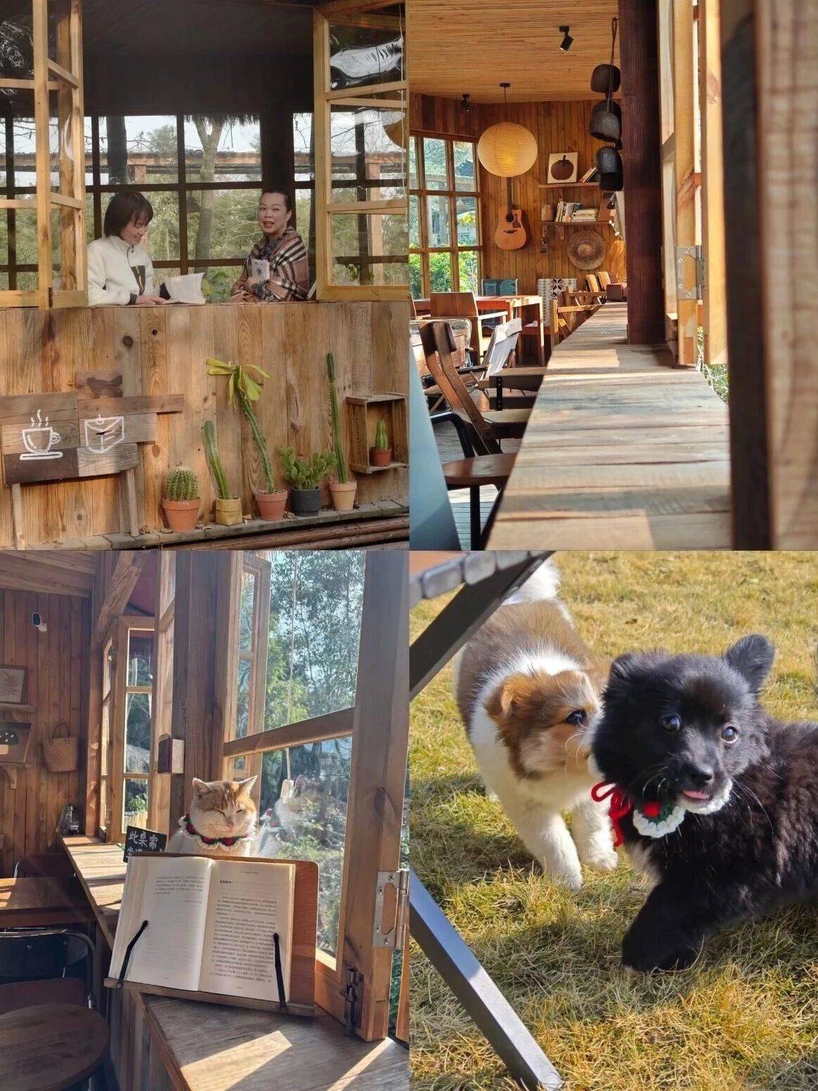 收藏！都江堰幸福感爆棚的曬暖好去處