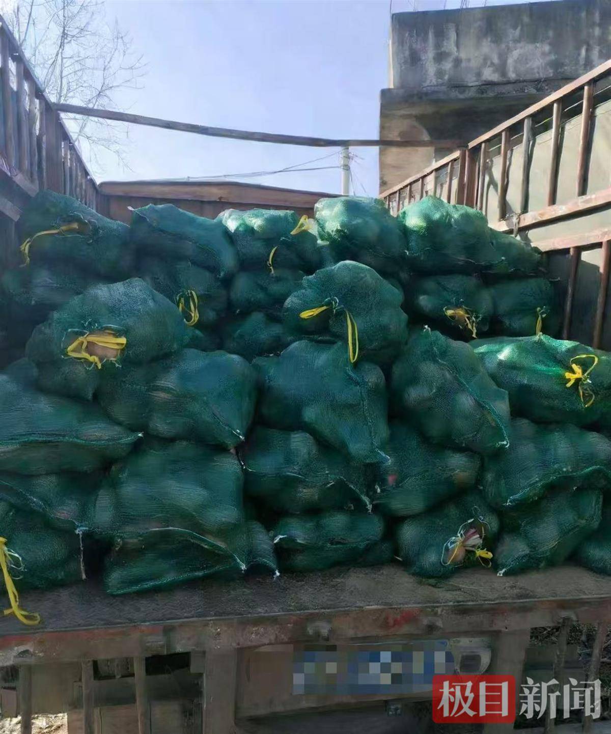 助力研究生創業，武漢多家頭部餐飲公司“組團掃貨”採購3萬斤鳳梨蘿蔔