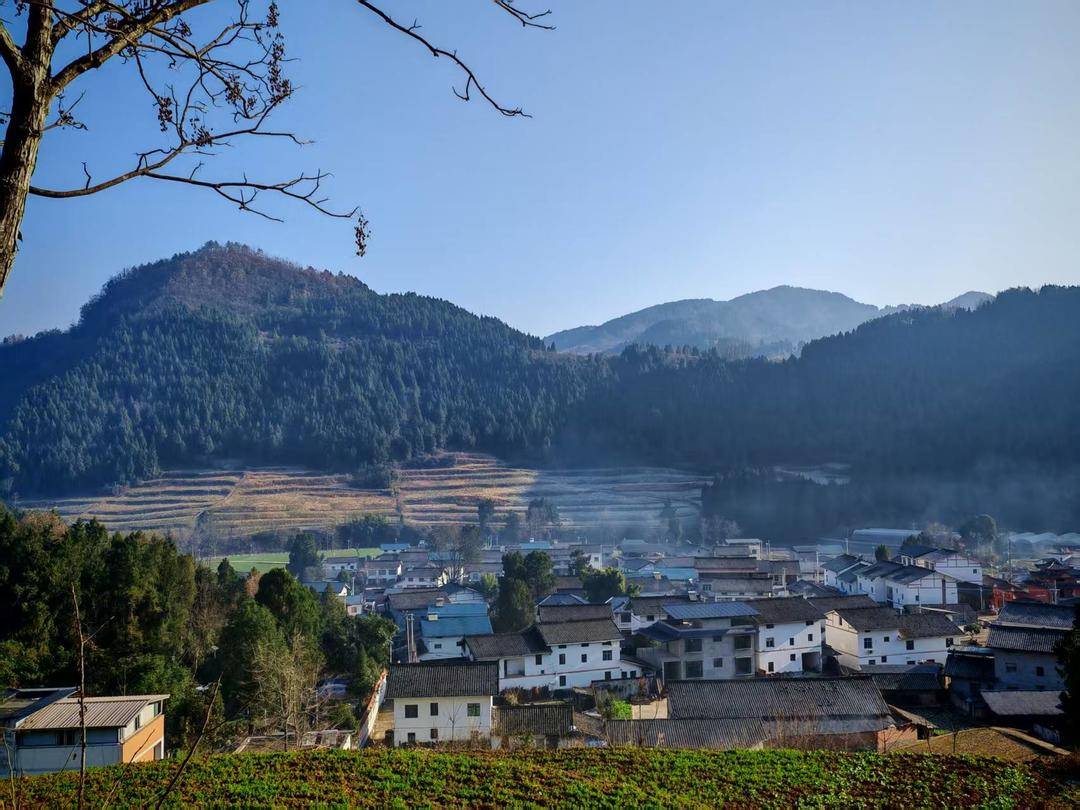 范家小學“學區房”裡的家長們｜封面深鏡