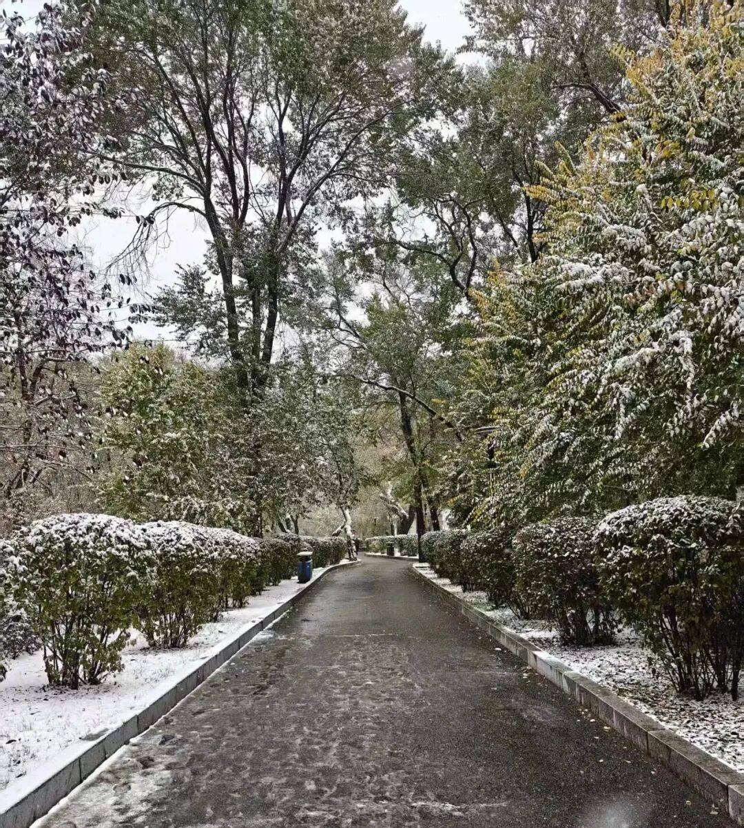 鶴崗「房產一哥」，轉行擦邊背後