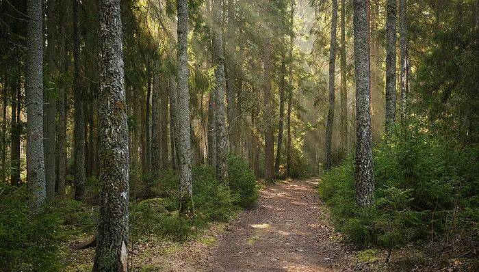 日本警方回應中國籍女性死亡事件：存在他殺可能