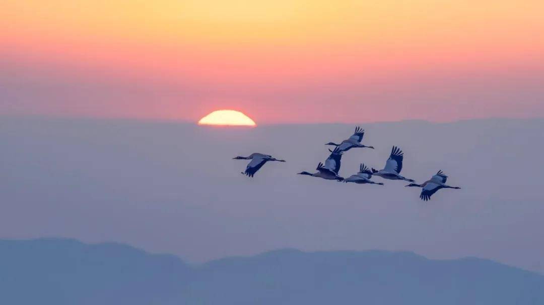 國際旅遊攝影網2026年國內外攝影路線全景指南