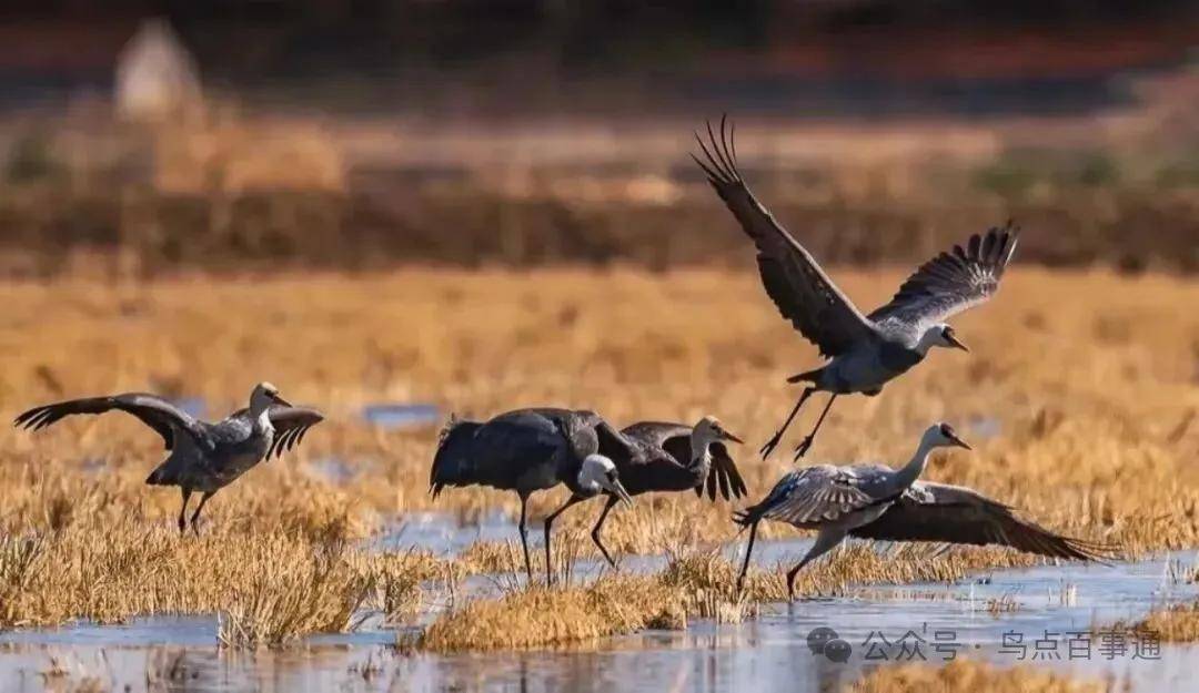 國際旅遊攝影網2026年國內外攝影路線全景指南