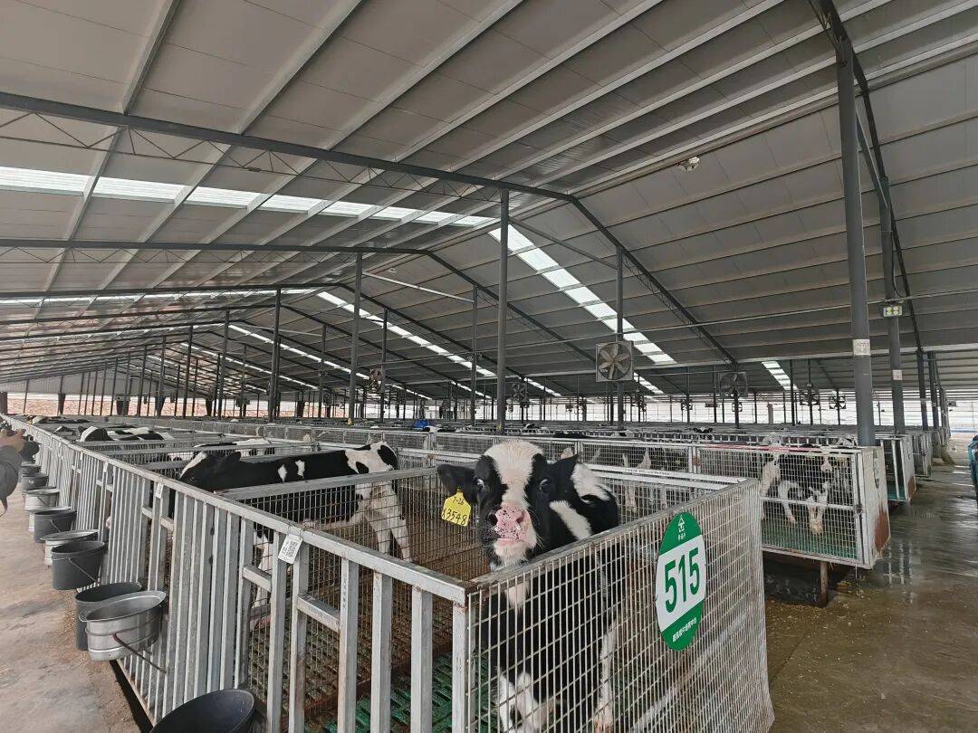 【科技特派員】牛興福：以智慧養殖賦能鄉村振興