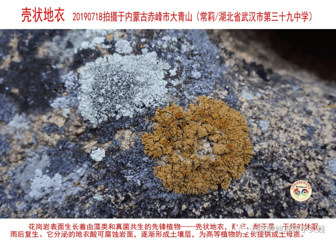 200個地理閱讀和命題的好素材