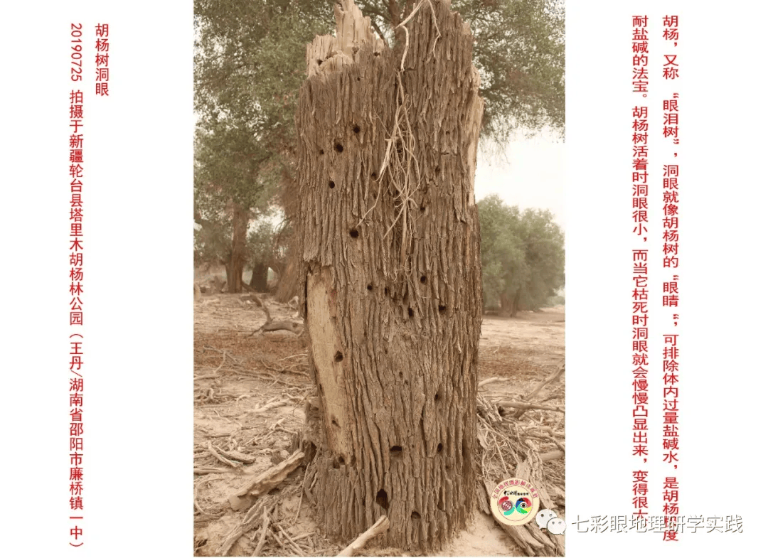 200個地理閱讀和命題的好素材