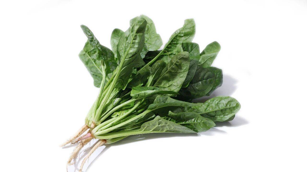 原創女性體內黃體酮若不足，會使其老態盡顯，常吃這5種食物或能改善