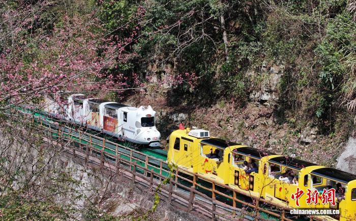 湖南張家界旅遊市場持續火熱 各景區遊人如織