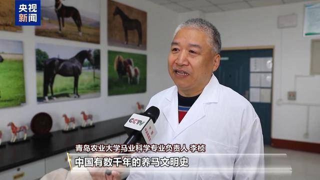 別人家的大學！青島這所高校開設“騎馬養馬”專業，央視關注