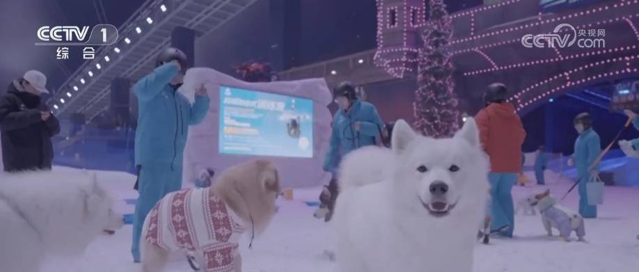 透過“科技旅拍”“電子年貨”“冰雪+寵物”解鎖春節消費新亮點