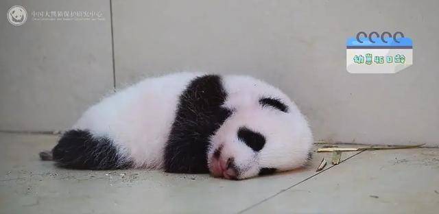 你是去挖煤了嗎？